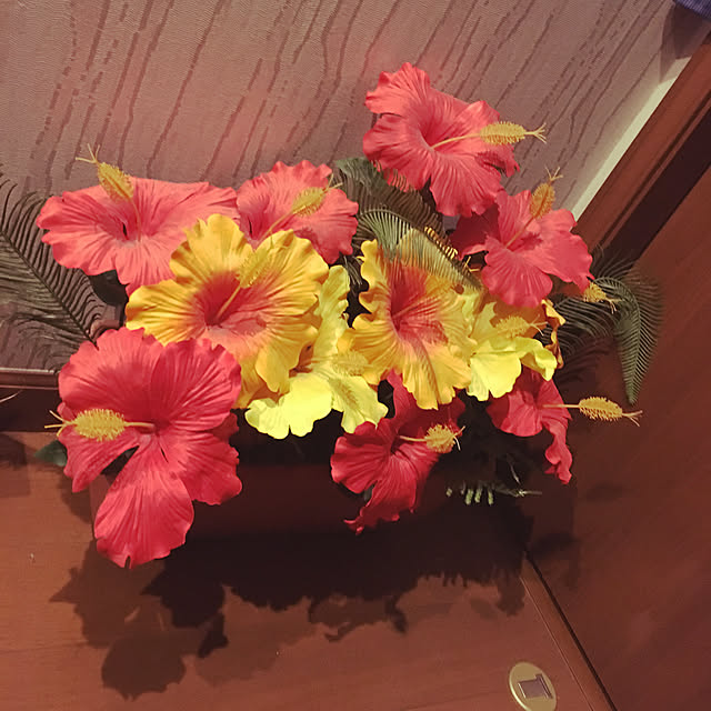 ptkenさんの実例写真