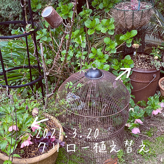 mintteaさんの実例写真