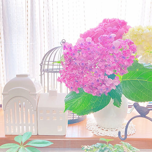 sophiaさんの実例写真