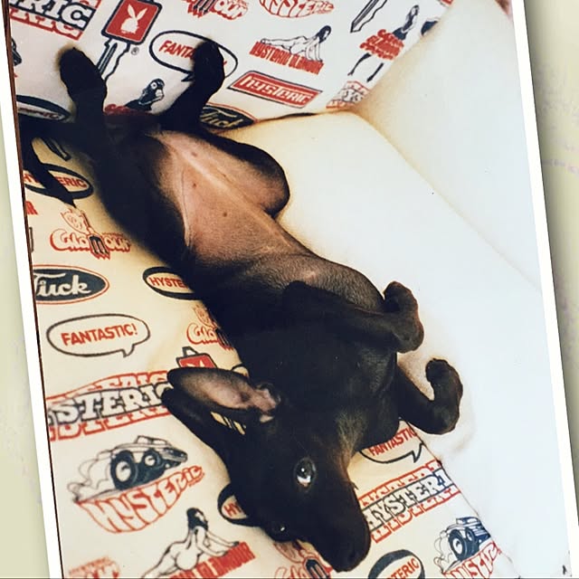 70さんの実例写真