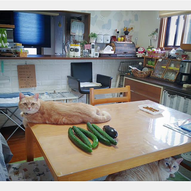 mntcさんの実例写真