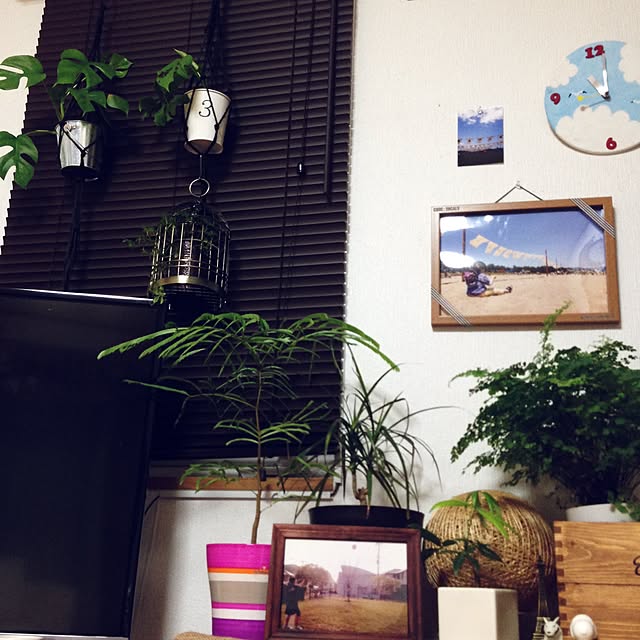 Annaさんの実例写真