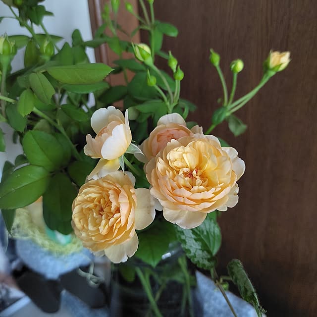 kiraさんの部屋