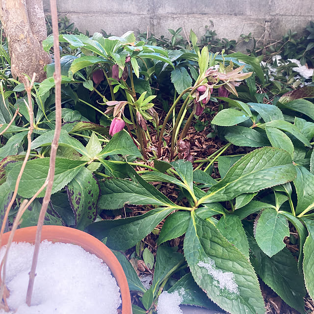 CoCo0617さんの部屋