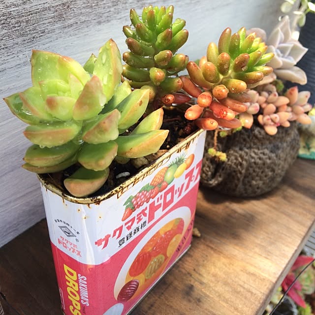 Azuさんの実例写真