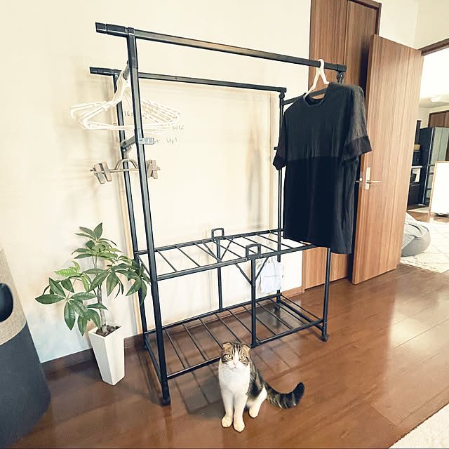 tansukeさんの実例写真