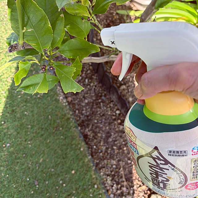 applepieさんの実例写真