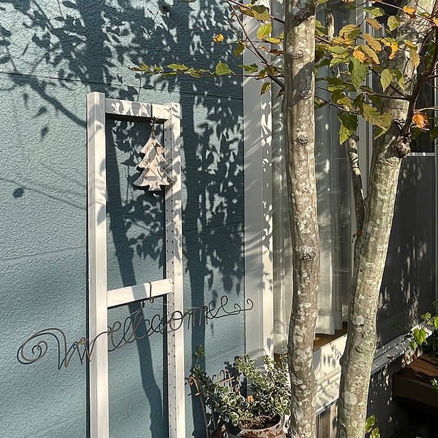 nobikoさんの実例写真