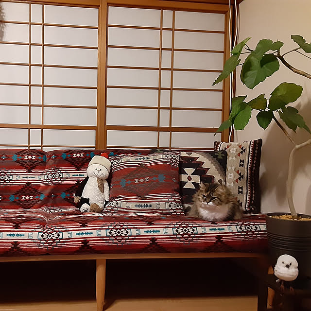 リビング/クッション/観葉植物/ねこと暮らす。/古民家のインテリア実例 - 2021-02-17 21:44:21