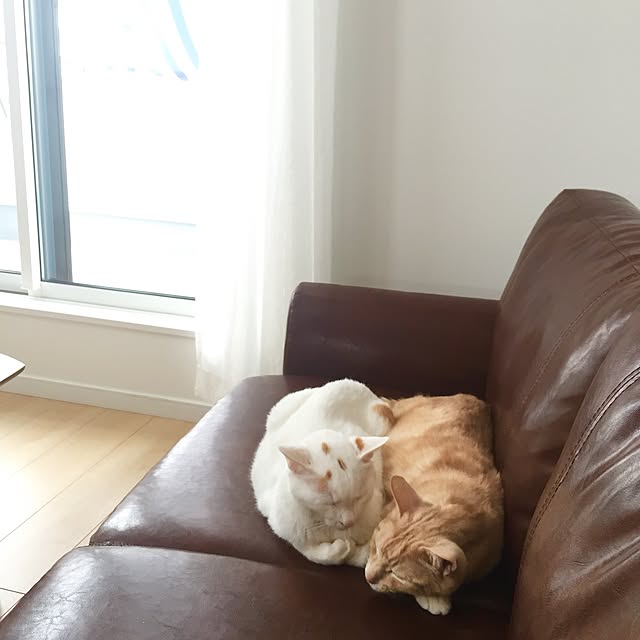 Minakoさんの実例写真