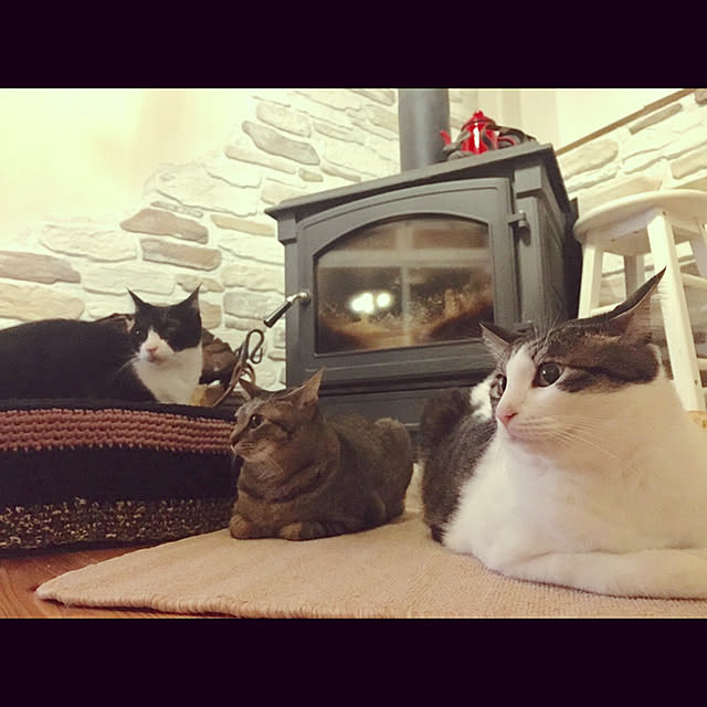 marusanさんの実例写真