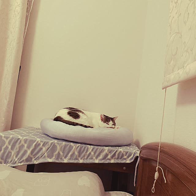 Gomaさんの実例写真