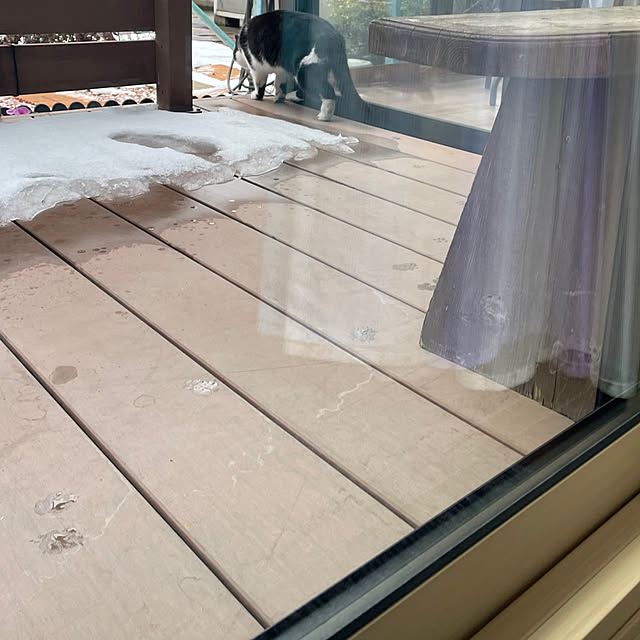 ronronさんの部屋