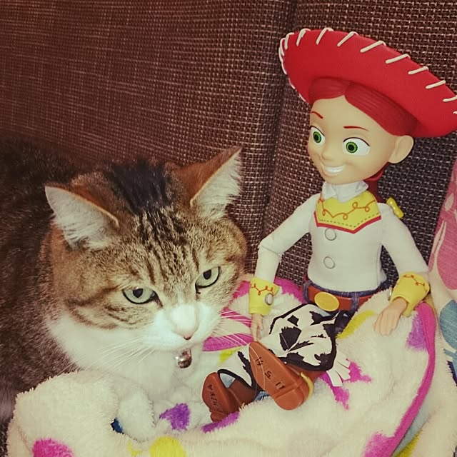 teruichiさんの実例写真