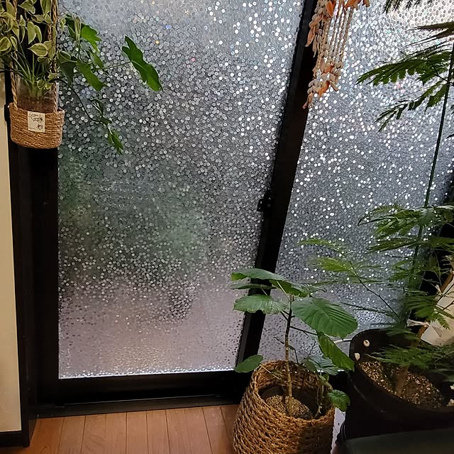 mimi828さんの実例写真