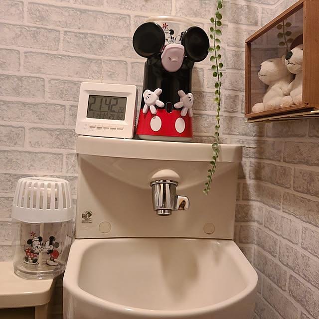 Luckyさんの実例写真