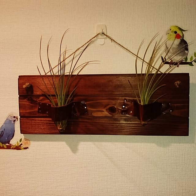 athuさんの実例写真