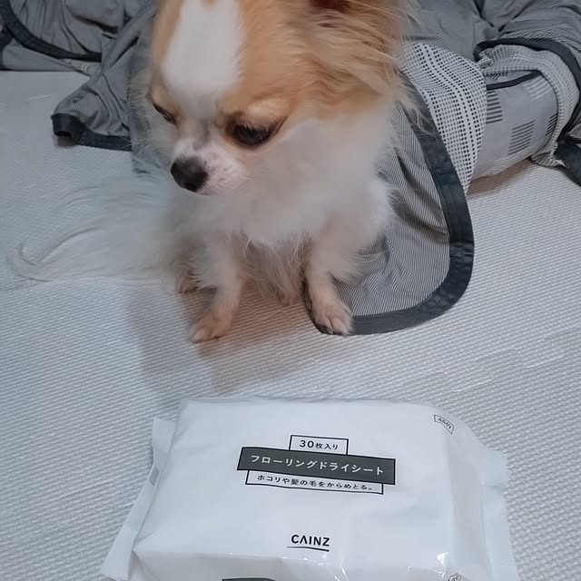 toratanさんの部屋