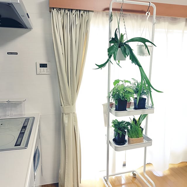 nachiさんの実例写真