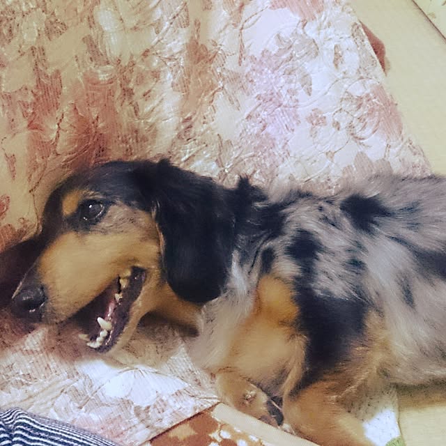 imachan8さんの実例写真