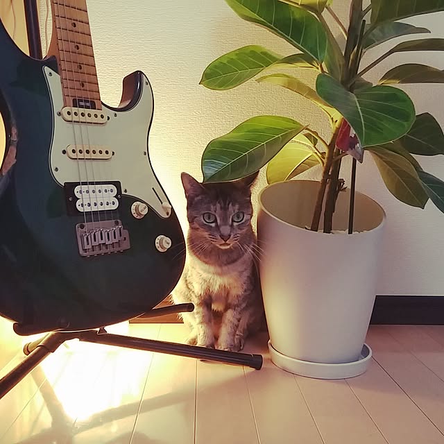 Hiroshiさんの実例写真