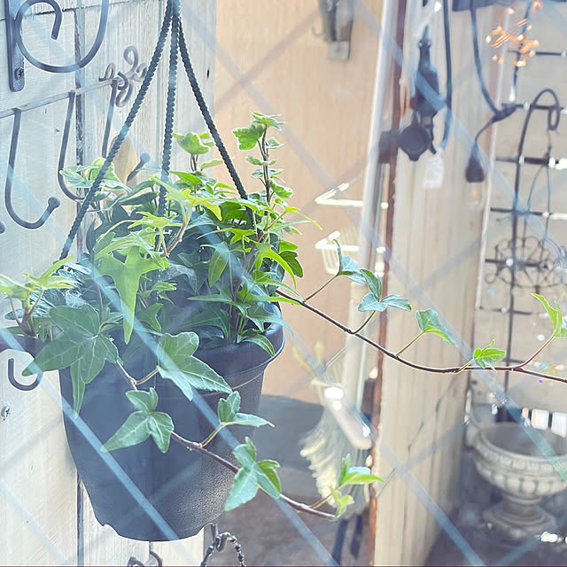 funiさんの実例写真