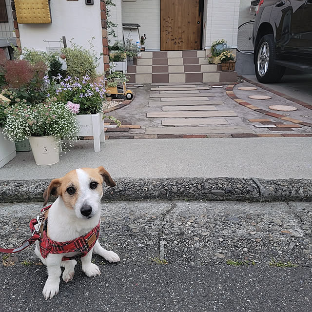 mio_ibu_1106さんの実例写真