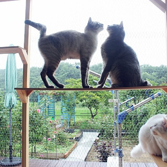 jennyさんの実例写真