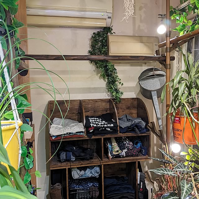 GINさんの部屋