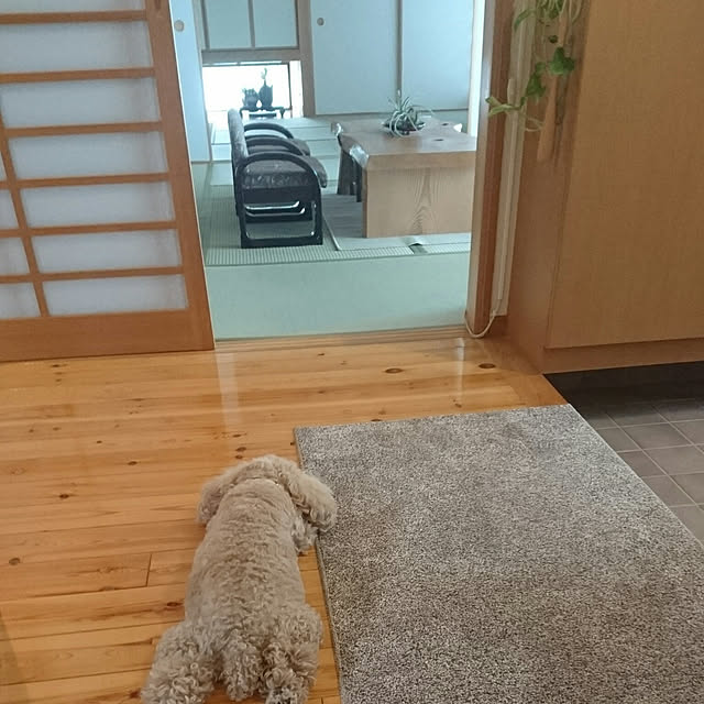 mocamamaさんの実例写真