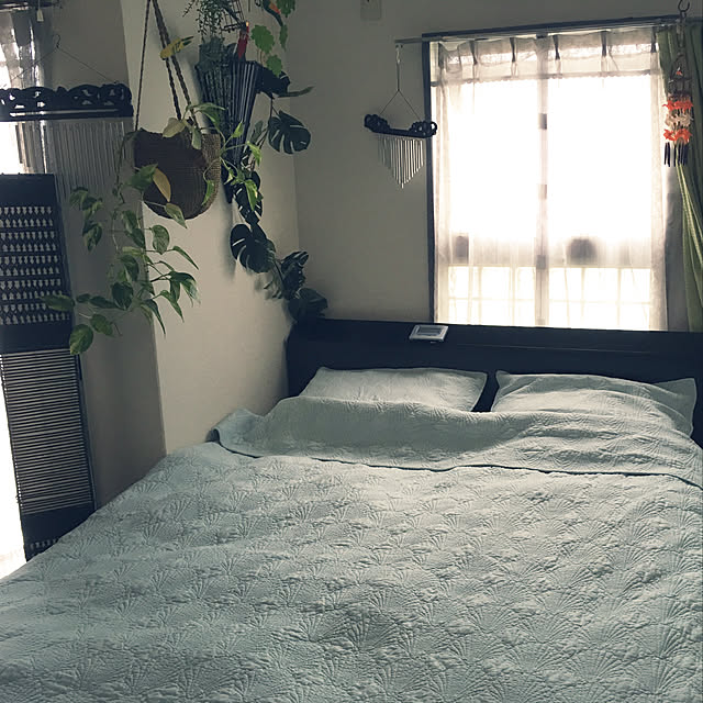 misaさんの実例写真