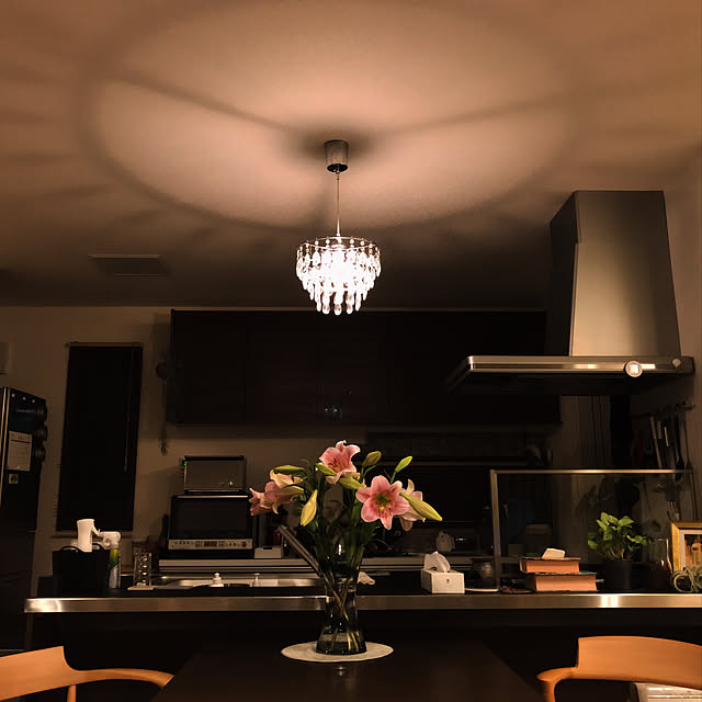 DI CLASSE ディクラッセ Barocco -Firenze pendant lamp DI CLASSE ディクラッセ Barocco -Firenze pendant lamp