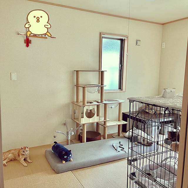 chiiさんの実例写真