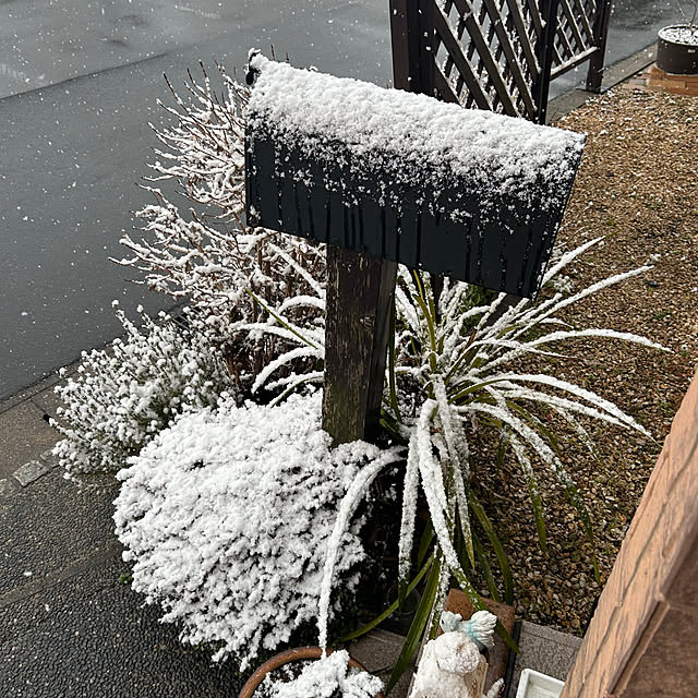 ritsukoさんの実例写真