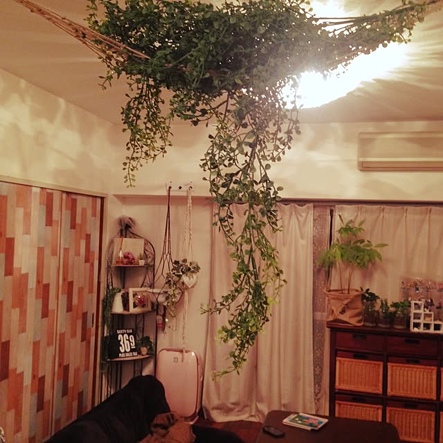 h.mamikuさんの実例写真