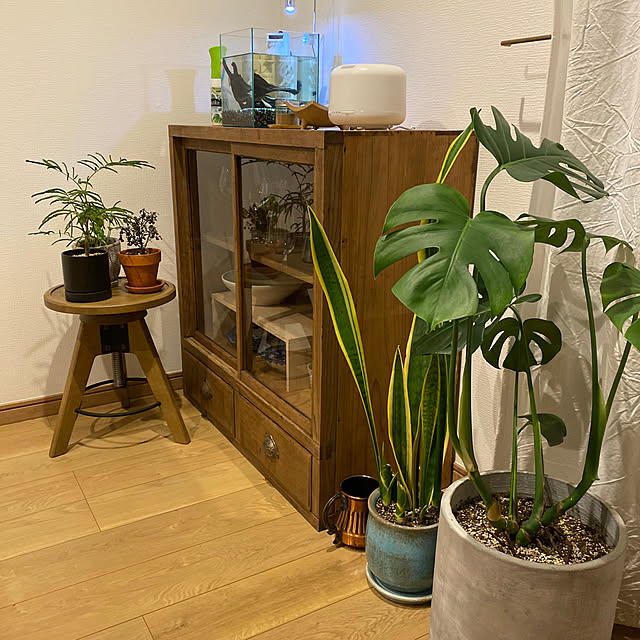 hjmさんの実例写真