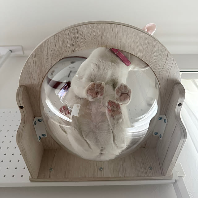 yukichiさんの実例写真