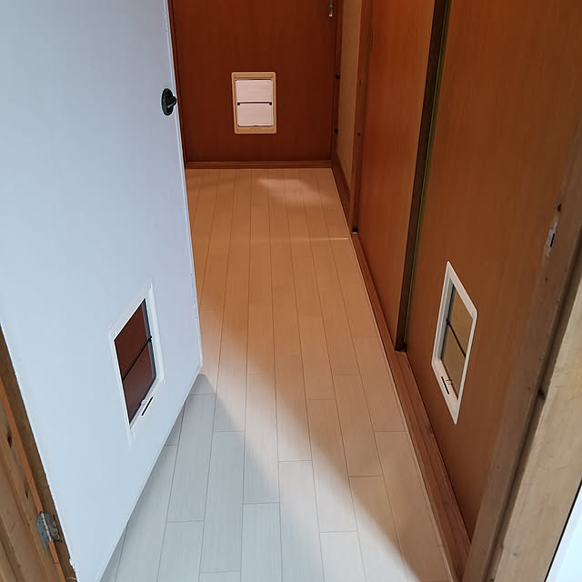 shihokoさんの実例写真