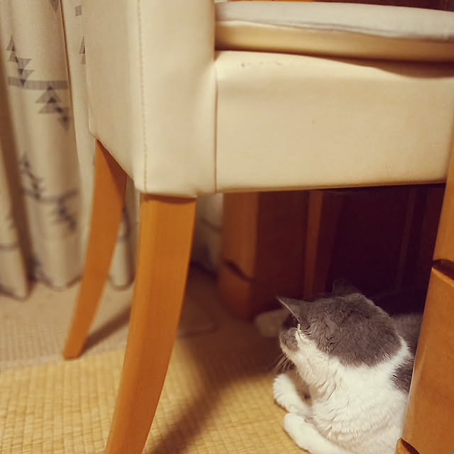 rhuさんの実例写真