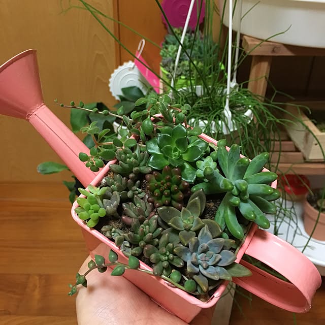 CHIROさんの実例写真
