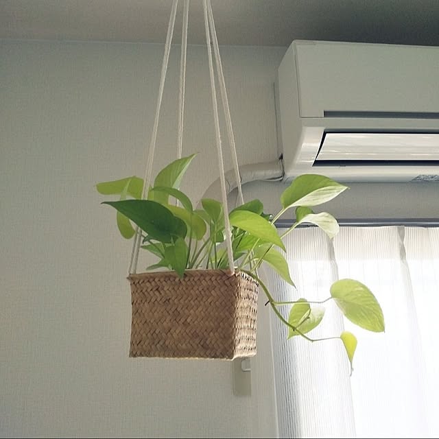 akichiさんの実例写真