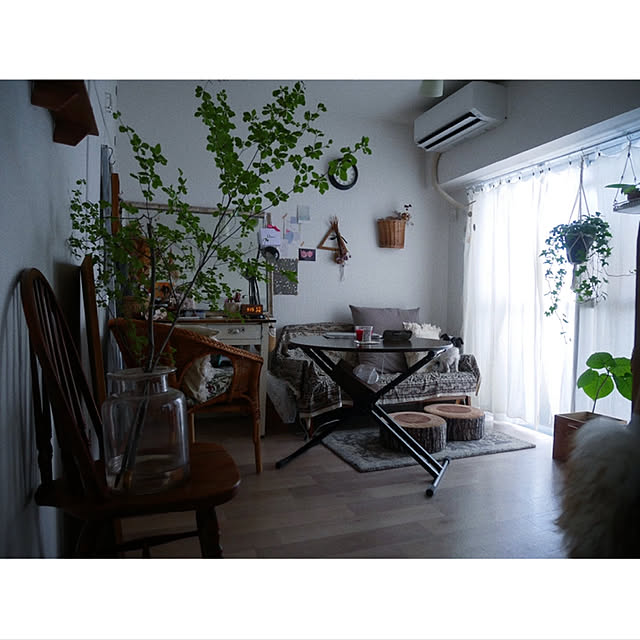ai_my_meさんの実例写真