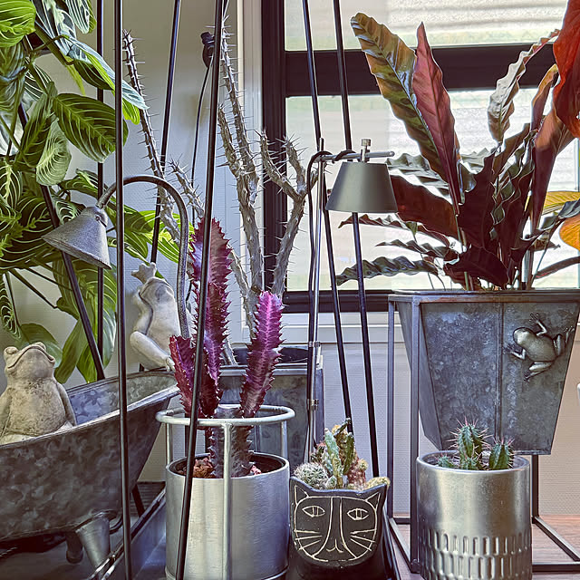 DAYONEさんの実例写真