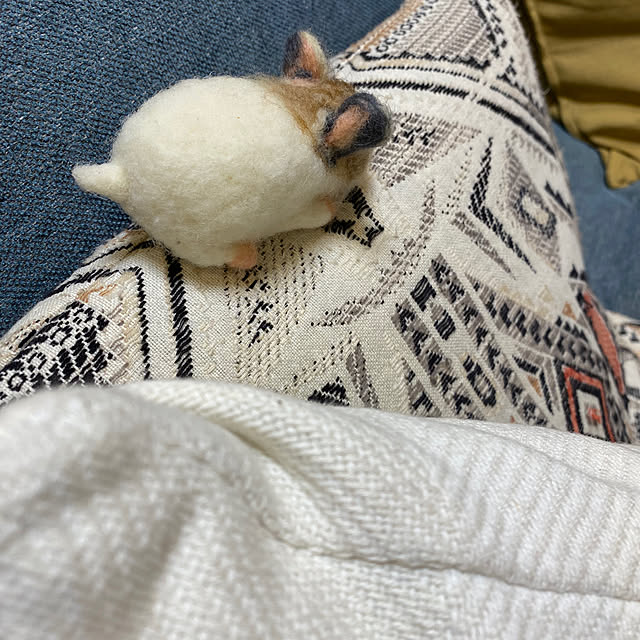 cotesanさんの実例写真