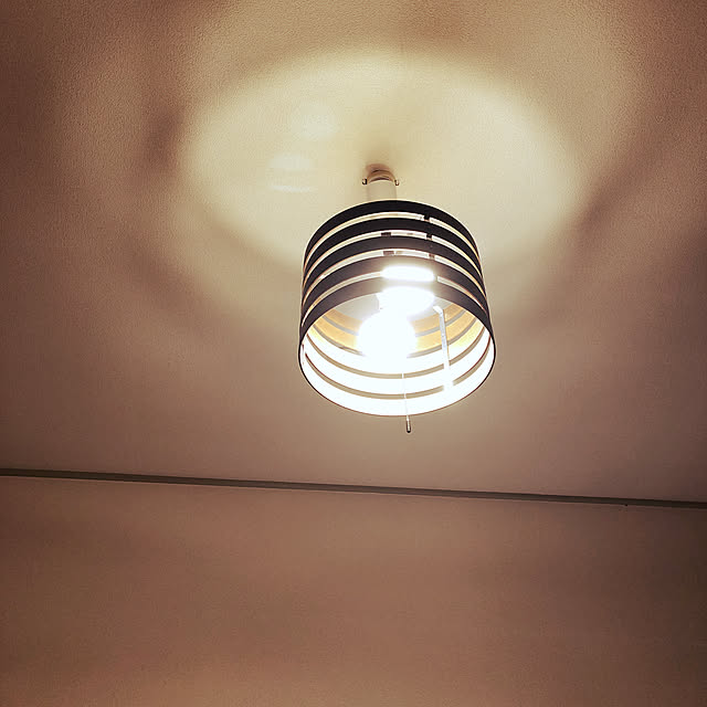 アンティーク/壁/天井のインテリア実例 - 2019-04-13 21:23:57