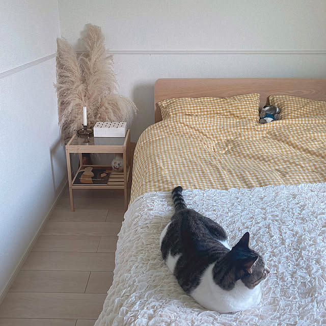mmmkhさんの実例写真