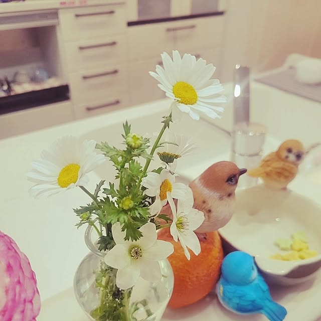 izumi.k.s1105さんの部屋