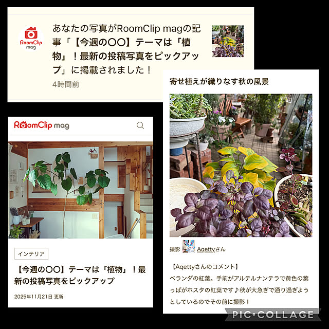 Aqettyさんの実例写真