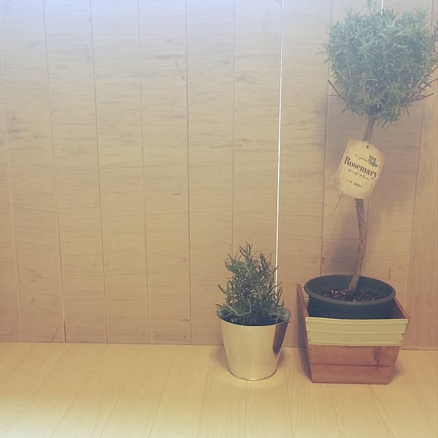 coraruさんの実例写真