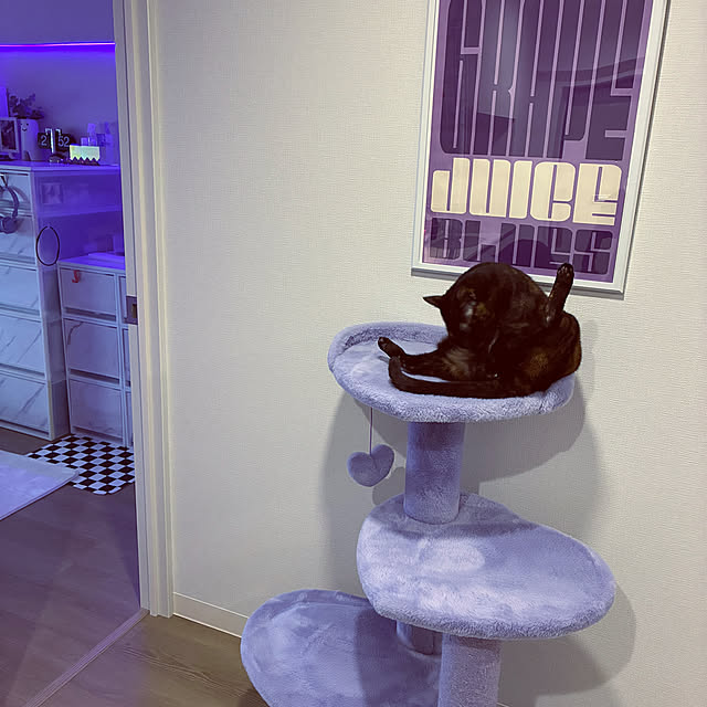 kanaさんの実例写真